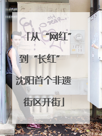 从“网红”到“长红” 沈阳首个非遗街区开街