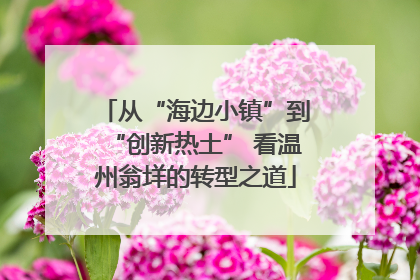 从“海边小镇”到“创新热土” 看温州翁垟的转型之道