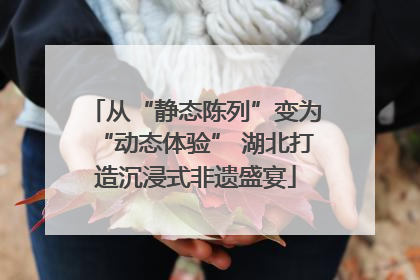 从“静态陈列”变为“动态体验” 湖北打造沉浸式非遗盛宴