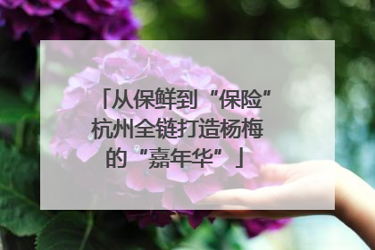 从保鲜到“保险” 杭州全链打造杨梅的“嘉年华”