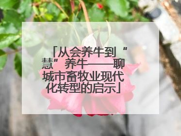 从会养牛到“慧”养牛——聊城市畜牧业现代化转型的启示