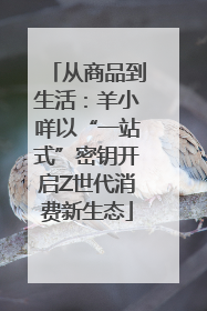 从商品到生活：羊小咩以“一站式”密钥开启Z世代消费新生态