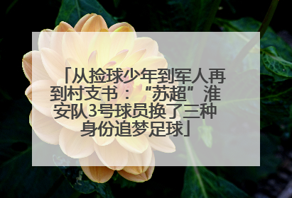 从捡球少年到军人再到村支书：“苏超”淮安队3号球员换了三种身份追梦足球