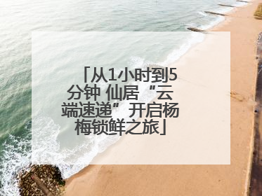 从1小时到5分钟 仙居“云端速递”开启杨梅锁鲜之旅
