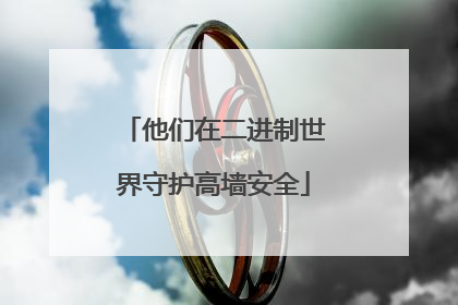 他们在二进制世界守护高墙安全