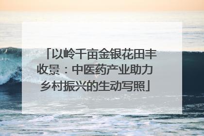 以岭千亩金银花田丰收景：中医药产业助力乡村振兴的生动写照