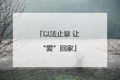 以法止暴 让“爱”回家