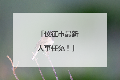 仪征市最新人事任免！