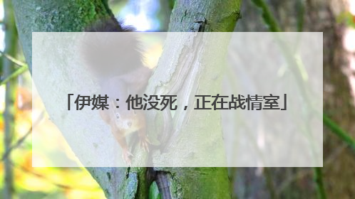 伊媒：他没死，正在战情室