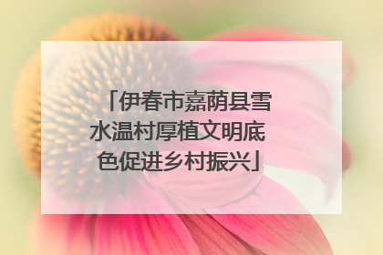 伊春市嘉荫县雪水温村厚植文明底色促进乡村振兴