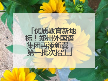 优质教育新地标！郑州外国语集团再添新翼，第一批次招生