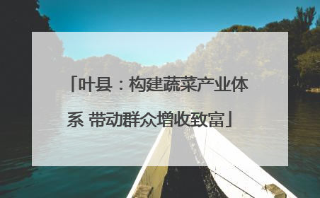 叶县：构建蔬菜产业体系 带动群众增收致富