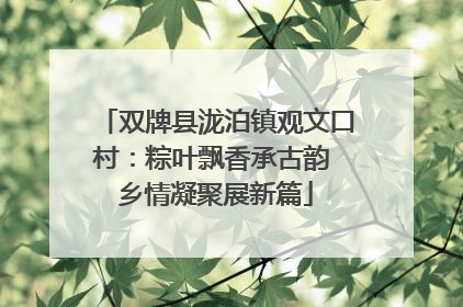 双牌县泷泊镇观文口村：粽叶飘香承古韵 乡情凝聚展新篇