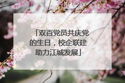 双百党员共庆党的生日，校企联建助力江城发展