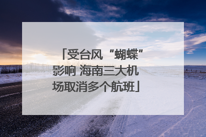 受台风“蝴蝶”影响 海南三大机场取消多个航班