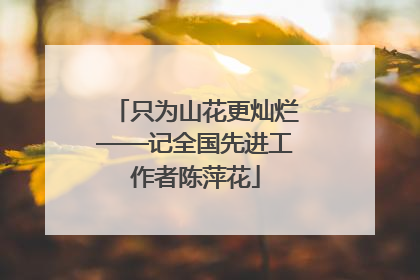 只为山花更灿烂——记全国先进工作者陈萍花