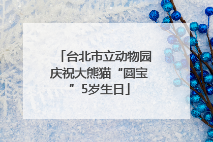 台北市立动物园庆祝大熊猫“圆宝”5岁生日