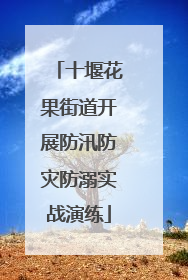 十堰花果街道开展防汛防灾防溺实战演练