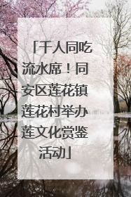 千人同吃流水席！同安区莲花镇莲花村举办莲文化赏鉴活动