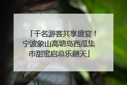 千名游客共享盛宴！宁波象山高塘岛西瓜集市甜蜜启幕乐翻天