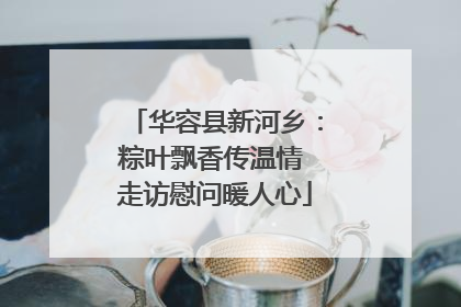 华容县新河乡：粽叶飘香传温情 走访慰问暖人心