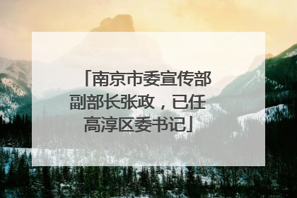南京市委宣传部副部长张政，已任高淳区委书记