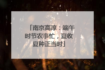 南京高淳：端午时节农事忙，夏收夏种正当时