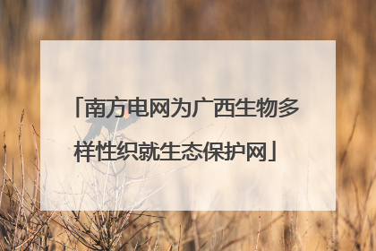 南方电网为广西生物多样性织就生态保护网