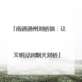 南通通州刘桥镇：让文明浸润烟火刘桥