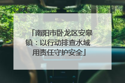 南阳市卧龙区安皋镇：以行动排查水域 用责任守护安全