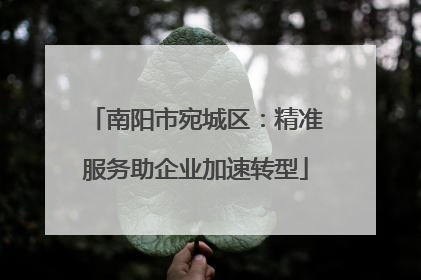 南阳市宛城区：精准服务助企业加速转型