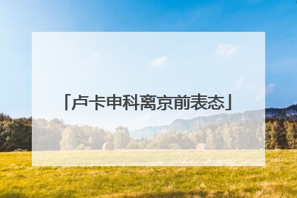 卢卡申科离京前表态