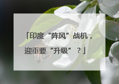 印度“阵风”战机，迎重要“升级”？