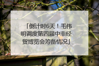 倒计时6天！毛伟明调度第四届中非经贸博览会筹备情况