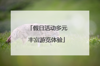 假日活动多元 丰富游览体验
