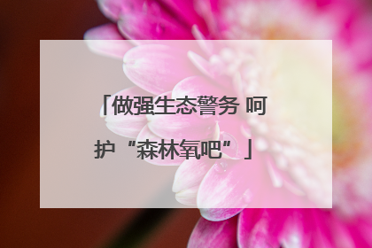 做强生态警务 呵护“森林氧吧”