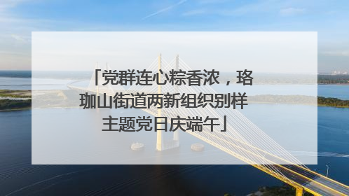 党群连心粽香浓，珞珈山街道两新组织别样主题党日庆端午