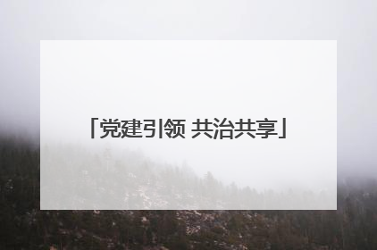 党建引领 共治共享