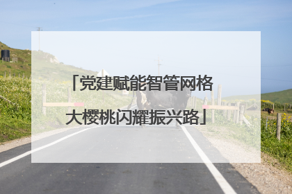 党建赋能智管网格 大樱桃闪耀振兴路