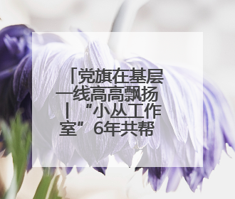 党旗在基层一线高高飘扬丨“小丛工作室”6年共帮助157位流浪乞讨人员点亮回家的灯