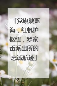 党旗映蓝海，红帆护枢纽，罗家岙派出所的忠诚航迹