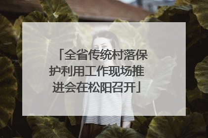 全省传统村落保护利用工作现场推进会在松阳召开
