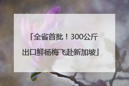 全省首批！300公斤出口鲜杨梅飞赴新加坡