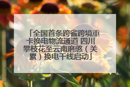 全国首条跨省跨境重卡换电物流通道 四川攀枝花至云南磨憨（关累）换电干线启动