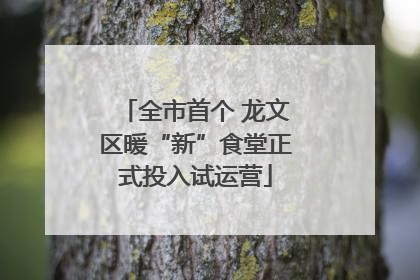全市首个 龙文区暖“新”食堂正式投入试运营