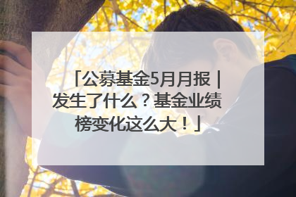 公募基金5月月报｜发生了什么？基金业绩榜变化这么大！