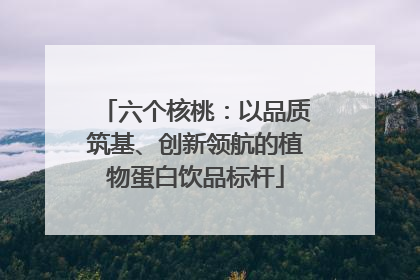 六个核桃：以品质筑基、创新领航的植物蛋白饮品标杆
