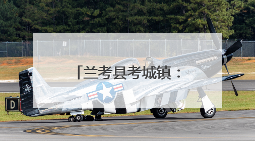兰考县考城镇：全力备战“三夏”安全生产，确保小麦“丰收在仓”