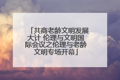 共商老龄文明发展大计 伦理与文明国际会议之伦理与老龄文明专场开幕