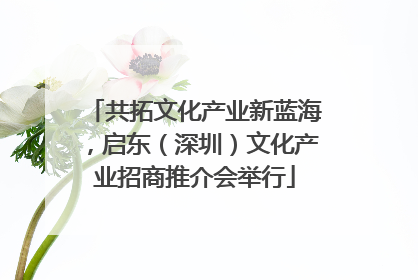共拓文化产业新蓝海，启东（深圳）文化产业招商推介会举行
